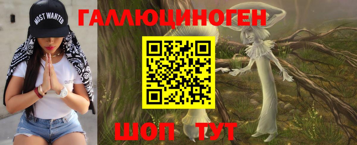 Псилоцибиновые грибы Psilocybine cubensis Петропавловск-Камчатский